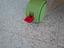 Immagine 4