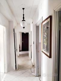 Zona latte dolce-buddi-buddi