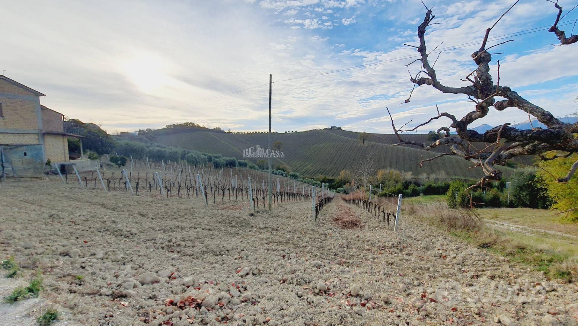 Terreno agricolo - Acquaviva Picena - Vista 5