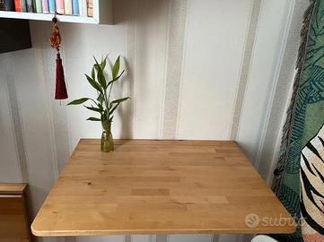 Tavolo pieghevole "Ikea" (modello Norbo)