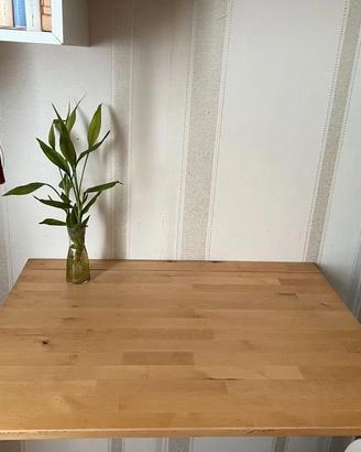 Tavolo pieghevole "Ikea" (modello Norbo)