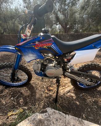 pit bike Orion 2026