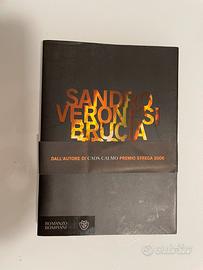 Brucia Troia di Sandro Veronesi