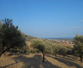 Terreno agricolo