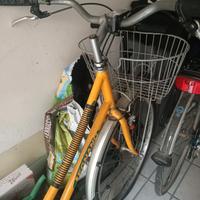 Bici da donna gialla 