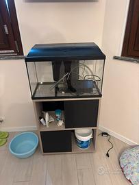 Acquario
