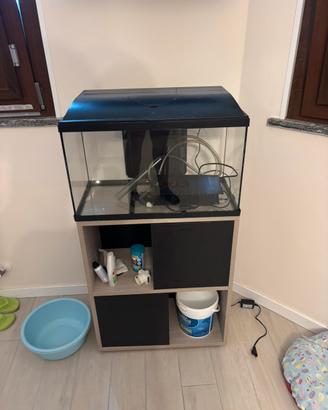 Acquario