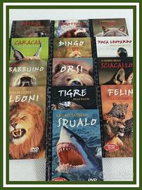 DVD - Natura - Animali Selvaggi - Documentario