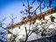 Immagine 12