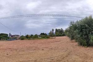 Vendesi terreno agricolo