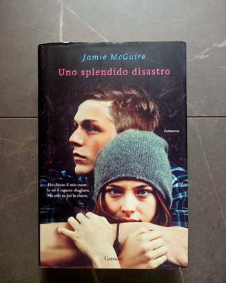 Disastro - Jamie Mc Guire (9 libri)