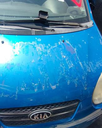KIA PICANTO 2009 COFANO ANTERIORE