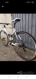 Bicicletta ibrida 