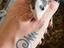 Immagine 4