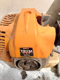 motore decespugliatore 