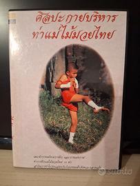 muay thai college thailandese vcd