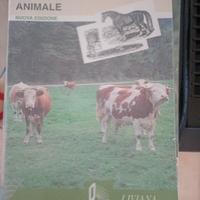 tecniche di produzione animale Bittante 