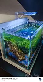 zolux 20l completo 