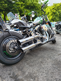 Harley davidson softail Deluxe bobber