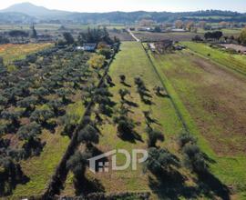 Terreno pianeggiante, fronte strada