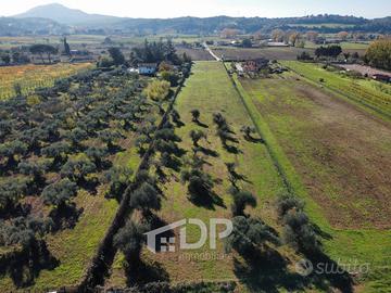 Terreno pianeggiante, fronte strada