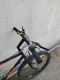 bici bottecchia 