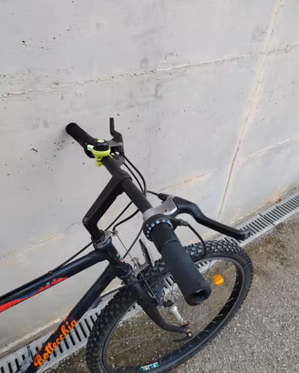 bici bottecchia 
