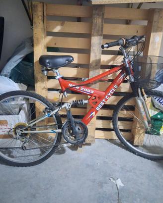 Bicicletta