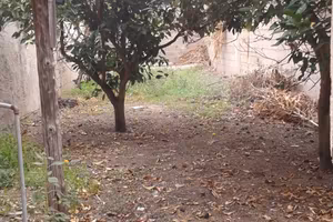 Casa campidanese a Santa Giusta