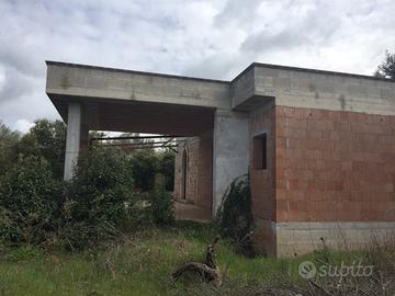 Terreno con diversi alberi d'ulivo con deposito