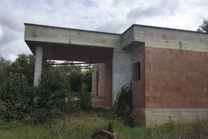 Terreno con diversi alberi d'ulivo con deposito