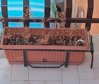 portavaso e vaso