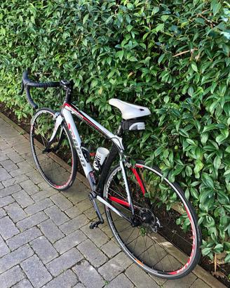 Bici da corsa Scapin da donna o uomo alt. max  170