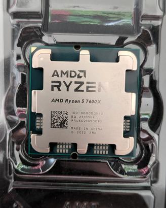 RYZEN 5 7600X (NO OEM)