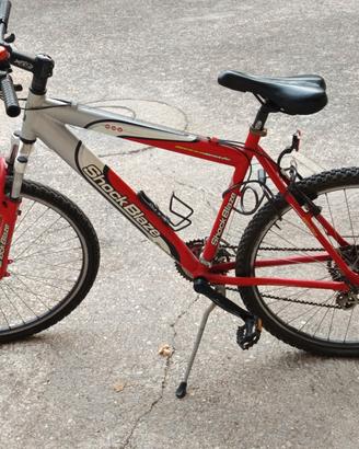 Mountain bike 
