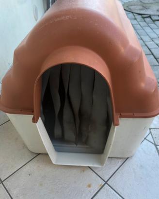 Cuccia