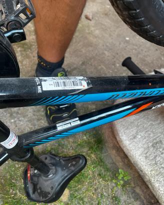 Bici spelialized