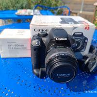 Canon EOS 550 D + 60 macro + motore