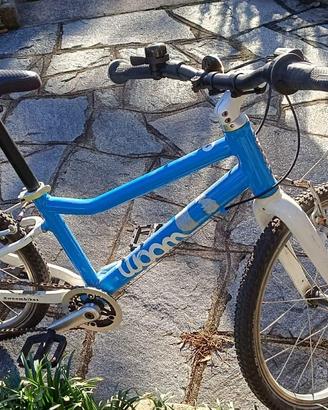 Bicicletta
