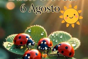 Appartamento a Torre lapillo