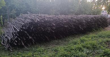 Legna nocciolo in barra