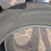 Gomme estive brigstone