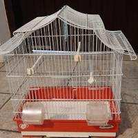 gabbia piccoli uccelli canarini bengalini 