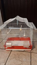 gabbia piccoli uccelli canarini bengalini 