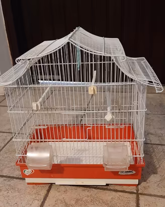 gabbia piccoli uccelli canarini bengalini 