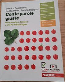 Con le parole giuste - Libro italiano