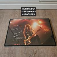 Steve Harris (Iron Maiden) – Foto live originale