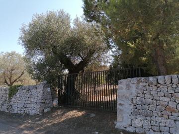 Casa independente con terreno a Castellana Grotta