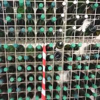 50+ Bottiglie Vuote per Spumante o Vino Frizzante