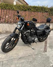 Harley Davidson iron 883